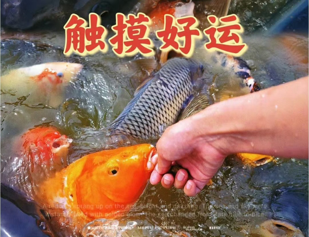 “  十二月 · 摸好运 ...” 