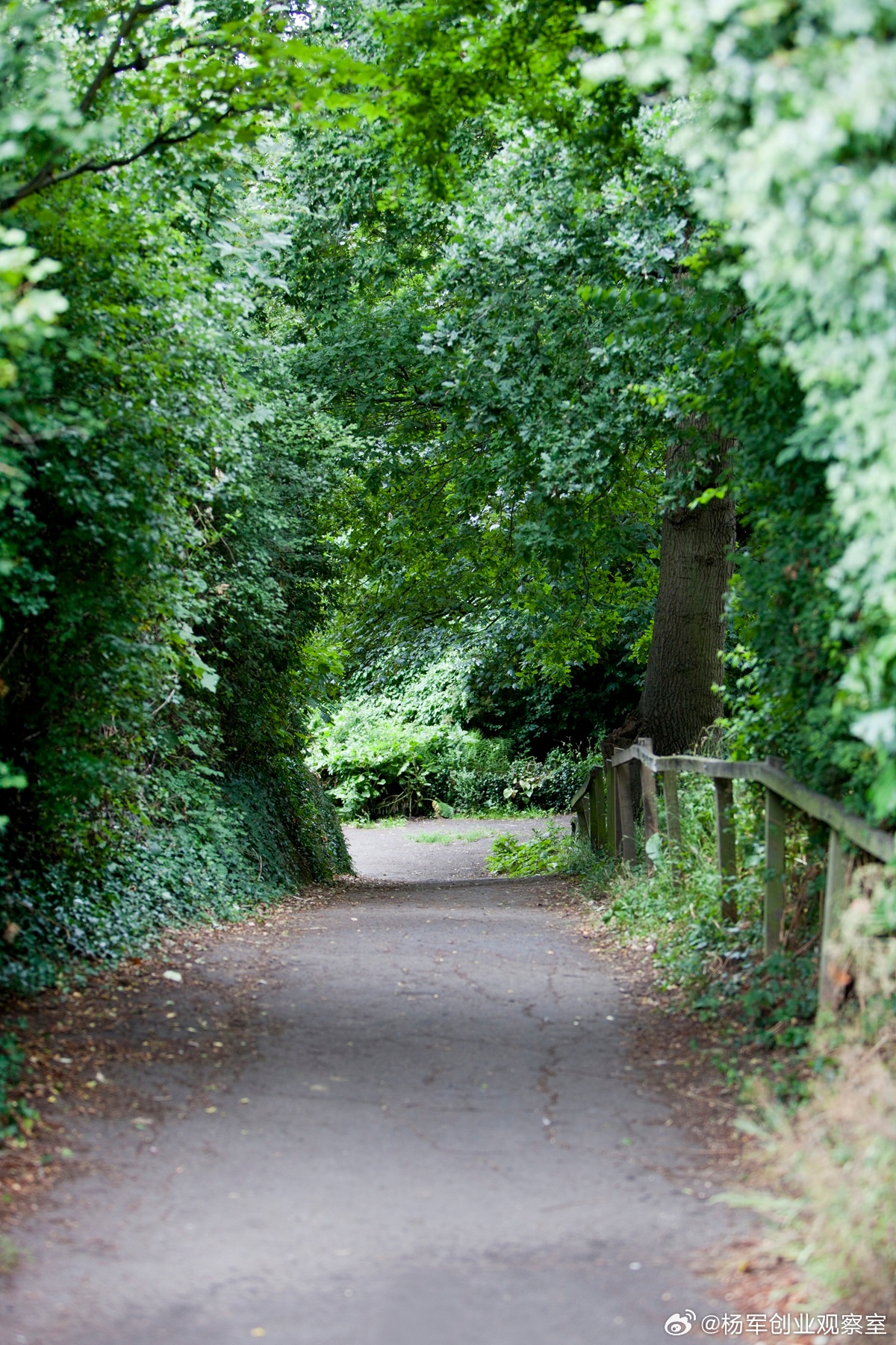 一次七分钟创赛路演上，创始人花三分钟讲情怀结果分数很不理想，跟投资人讲情怀还是功