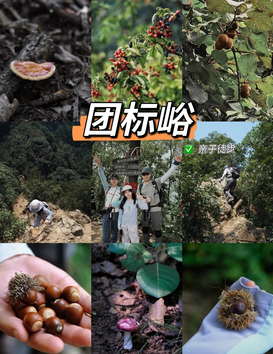 团标峪｜进山拾秋，山野藏满自然甜香
周至团标峪，人少景美，也是西安周边最治愈的摘