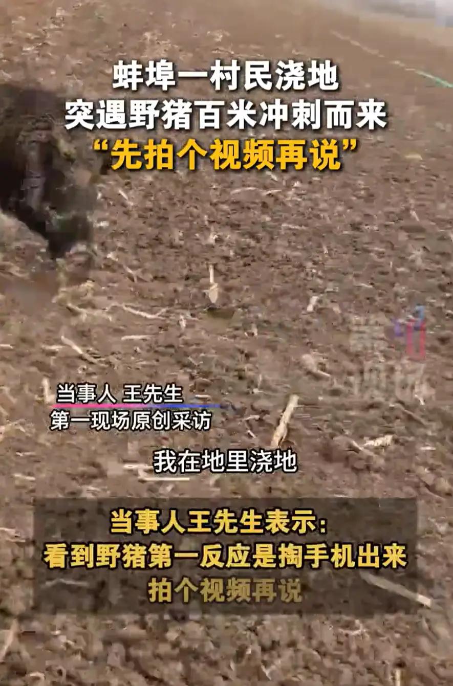 安徽蚌埠，一男子在村里浇地，远远处突然有一个东西奔着自己跑过来，仔细一看竟然是一