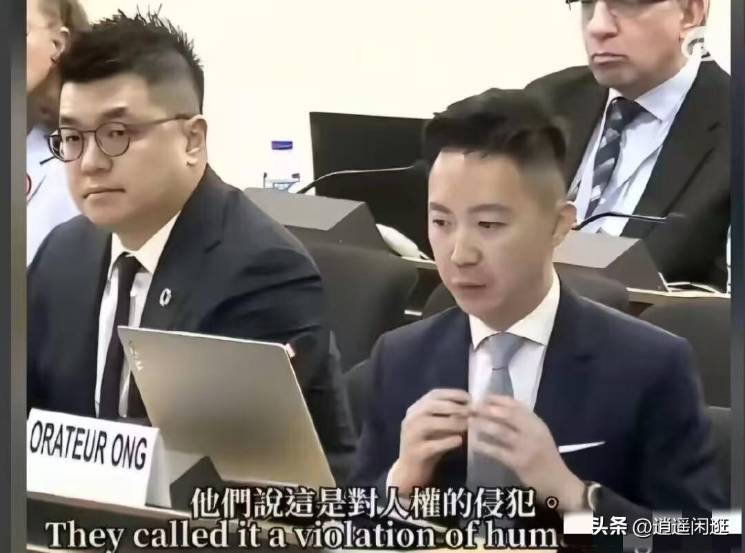 干得漂亮！对于无耻的欧美，还得靠年轻人的打法。这次日内瓦会议，中国香港特区立法会