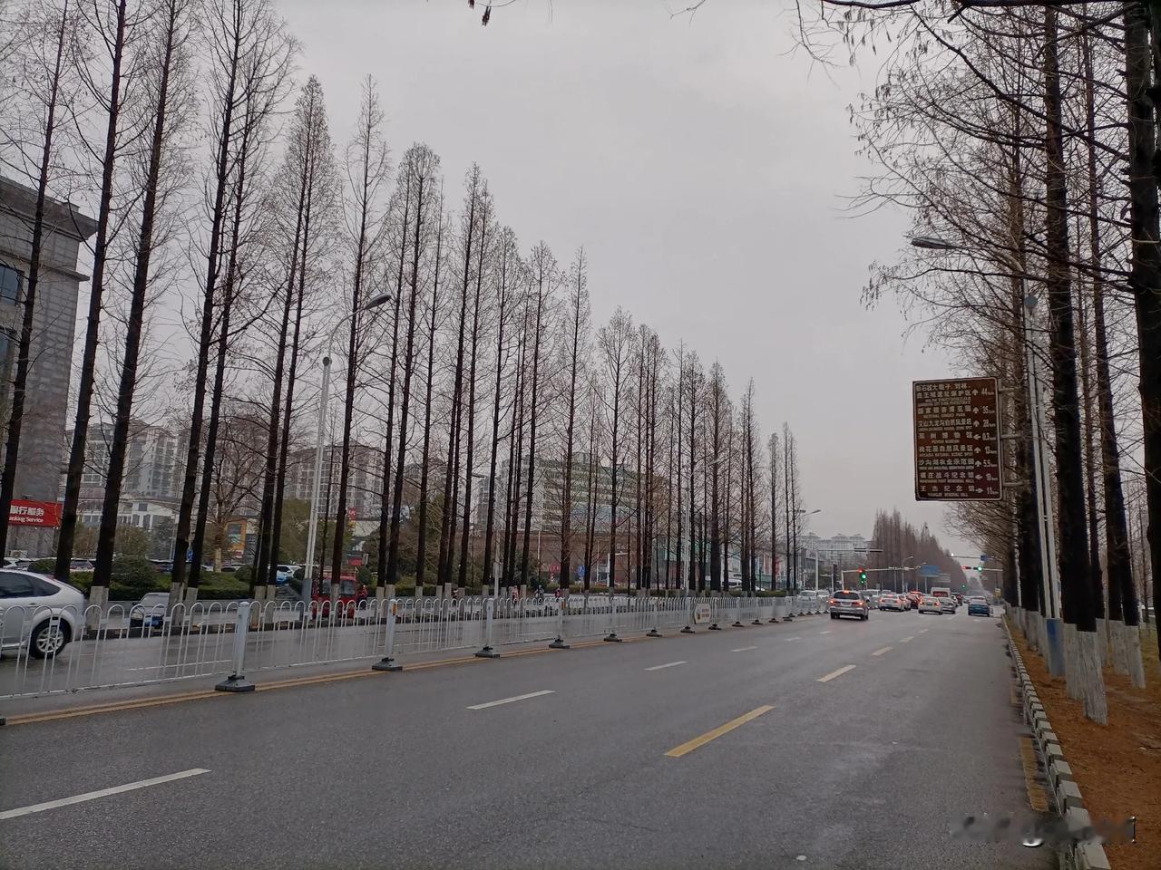 江苏邳州，本想去徐州办些事情，在宏通客运站坐大巴车，中途有急事，也就没去成办理了