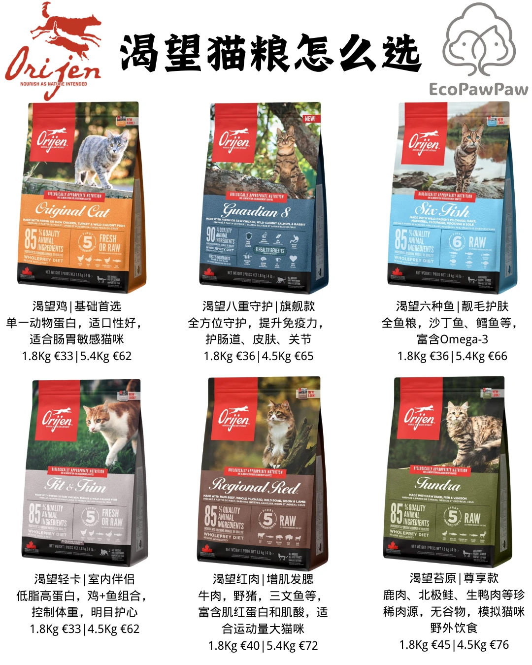 比利时🇧🇪宠物创业｜渴望猫粮怎么选