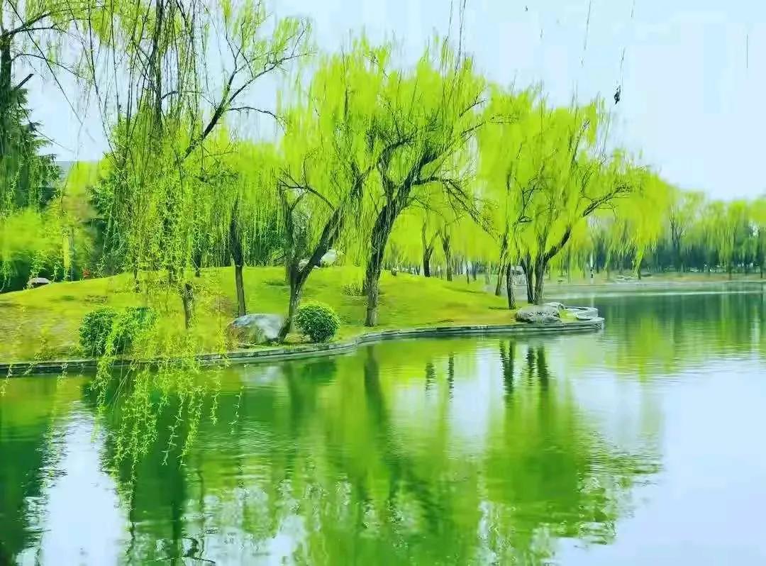 欲问春归何处，夏荷尖尖露头。
　　春雨柔，花满楼，几许春情入画柔，人约黄昏后，月