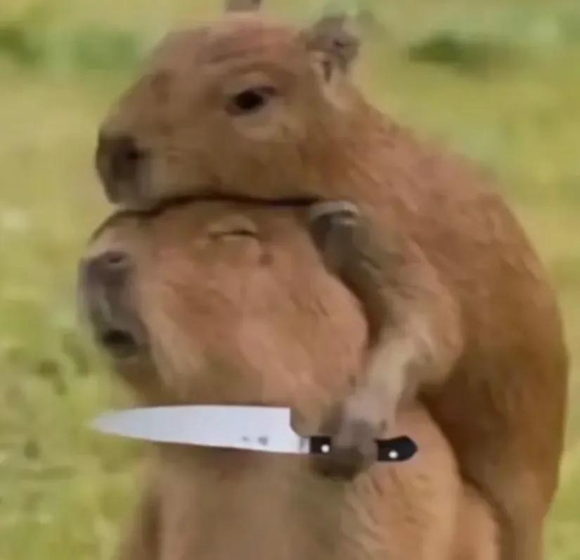 一旦你上班摸过鱼，你这辈子就定型了，你早早地知道了摸鱼的好，这是你的幸运，你就再