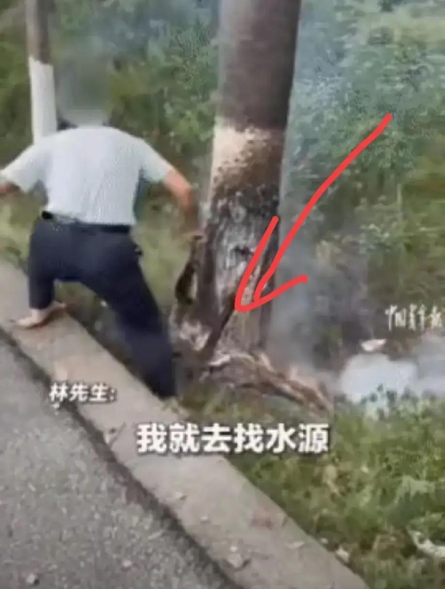 男子国道边制止老人烧树，老人一句话道出隐情，背后真相引人深思

不敢相信，一男子
