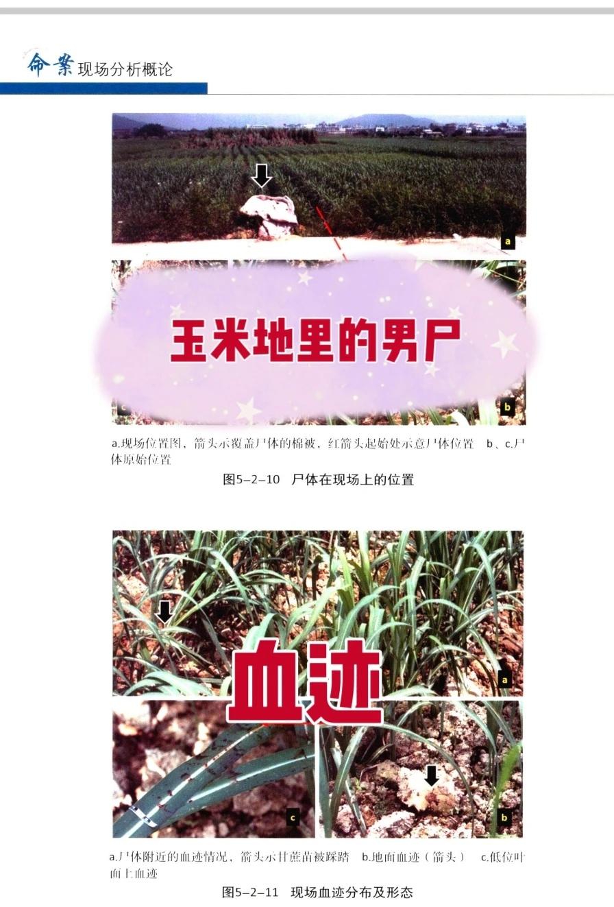 法医科普书籍，胆小慎看。
破案 真实案件 法医
