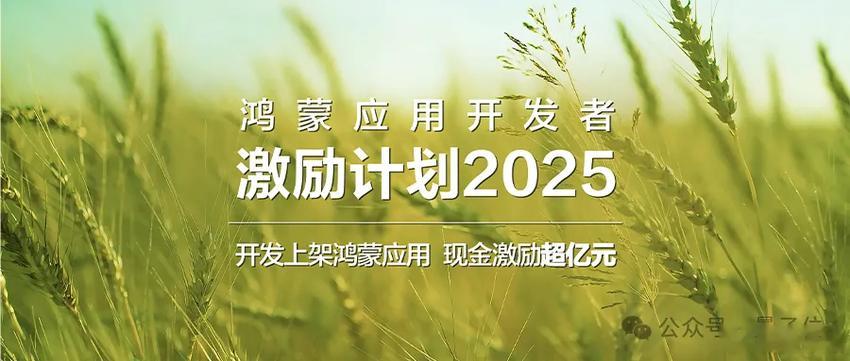 华为发布亿元级应用开发激励计划华为600万奖金抢开发者就在这几天，华为宣布搭载H
