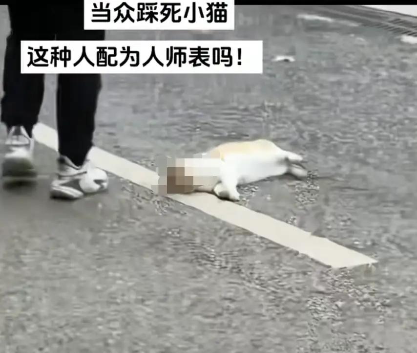 闹大了！湖南邵阳某中学老师，当着学生的面，把一只躺路上晒太阳的橘猫给活活踩死了。