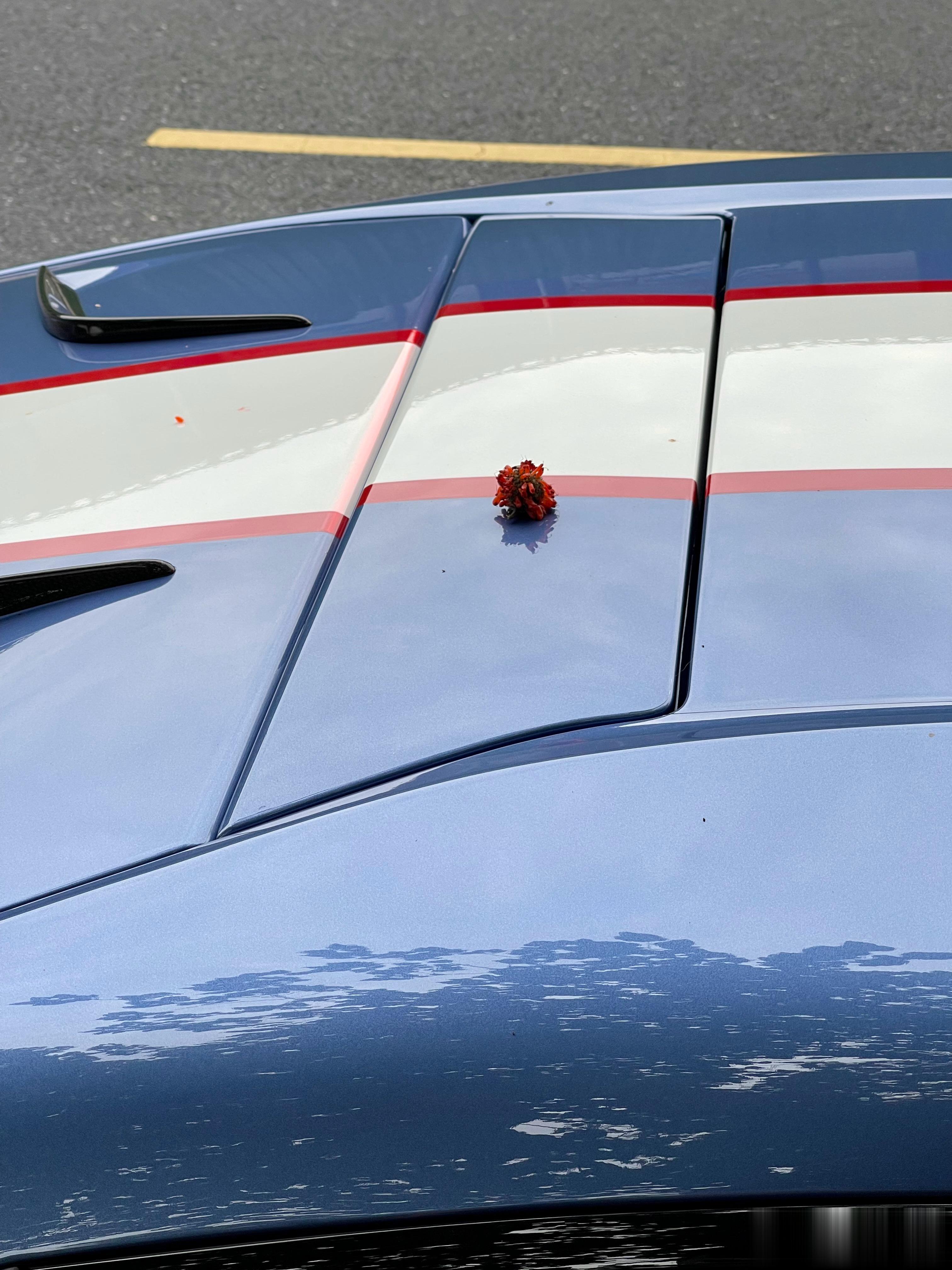 虽然只是路过，却相当精彩的杭州半日游[爱你]这次比较匆忙，下次再聚[干杯] ​​