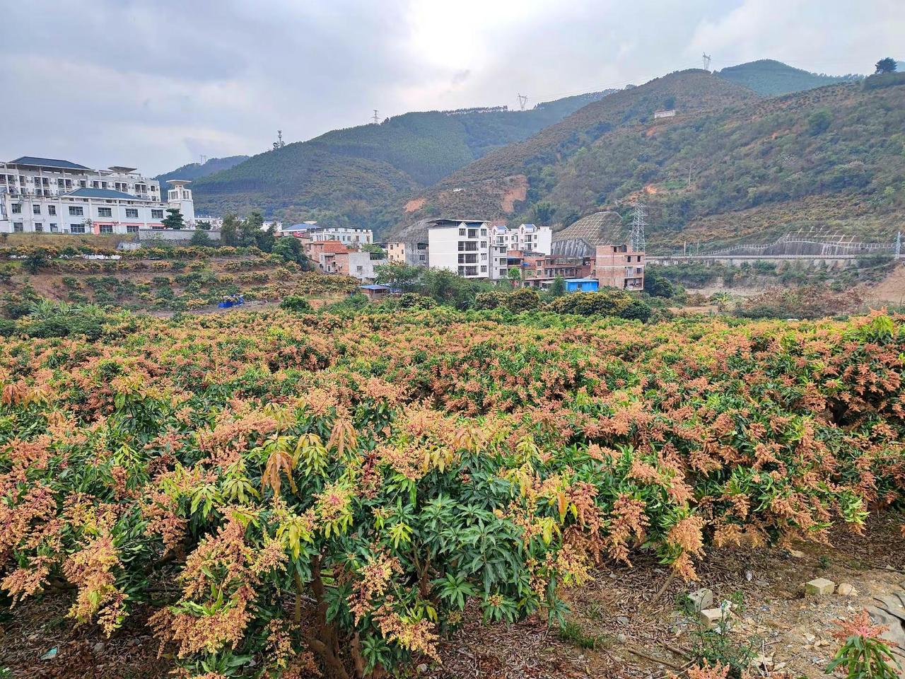 吃喝玩乐分享计划