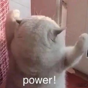 周一，早～[揣手] ​​​