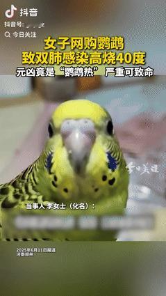 “倒大霉了！”6月12日，河南郑州，一女子花50元在网上购买了只鹦鹉，没想到，收