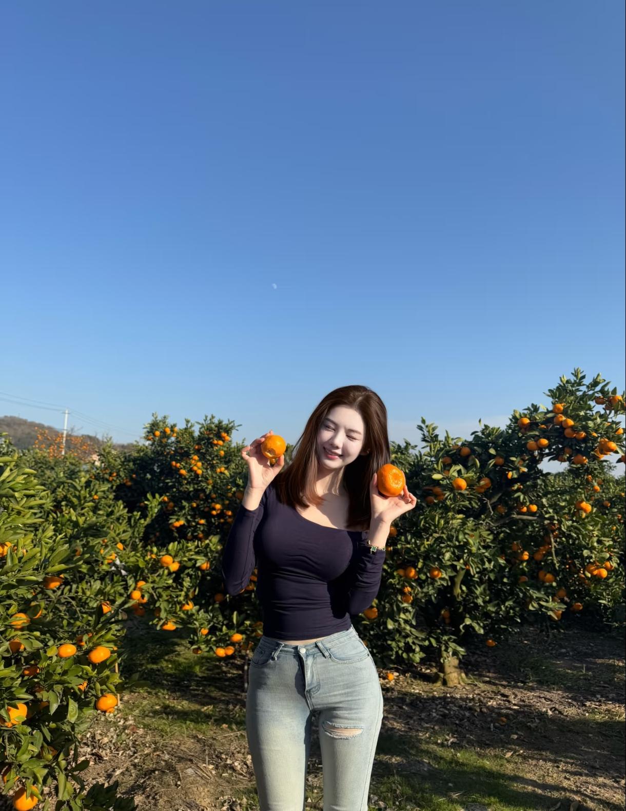 《鹧鸪天·橘园拾光》
 
晴野风轻云缕斜，金丸缀树压枝桠。露沾翠叶凝晨色，香裹新