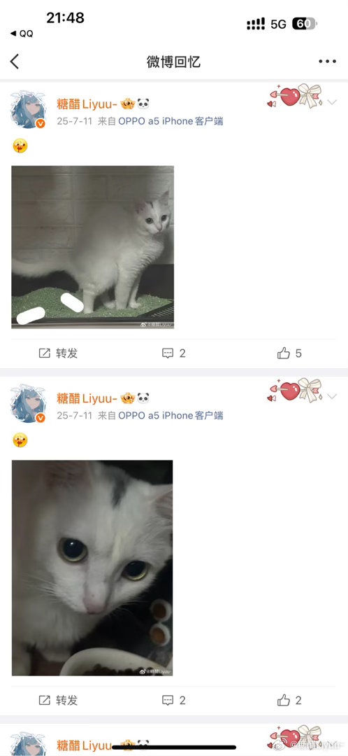 好诡异 