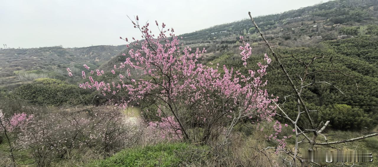 【真理标准大讨论和“两个凡是】1978年5月，真理标准问题大讨论正式展开，它是一