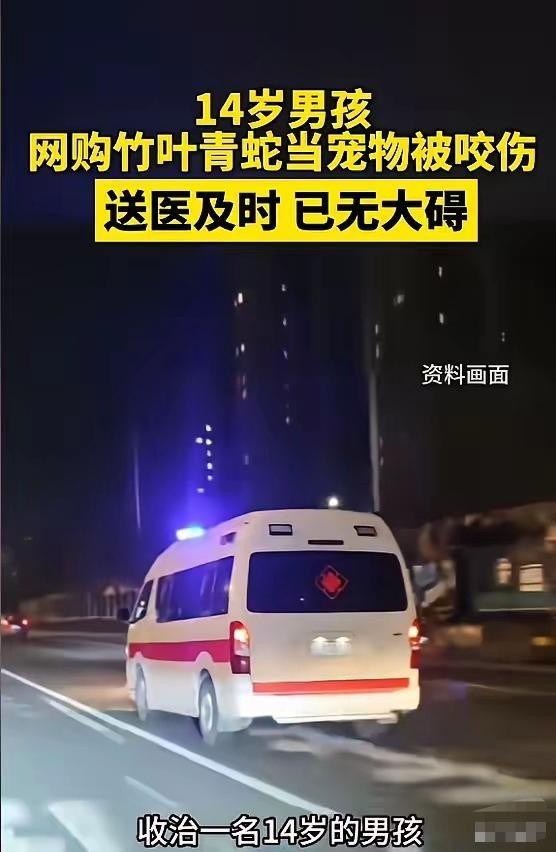 “悲剧还是发生了！”5月9日报道，上海，一14岁男孩因为好奇，在网上买了条竹叶青