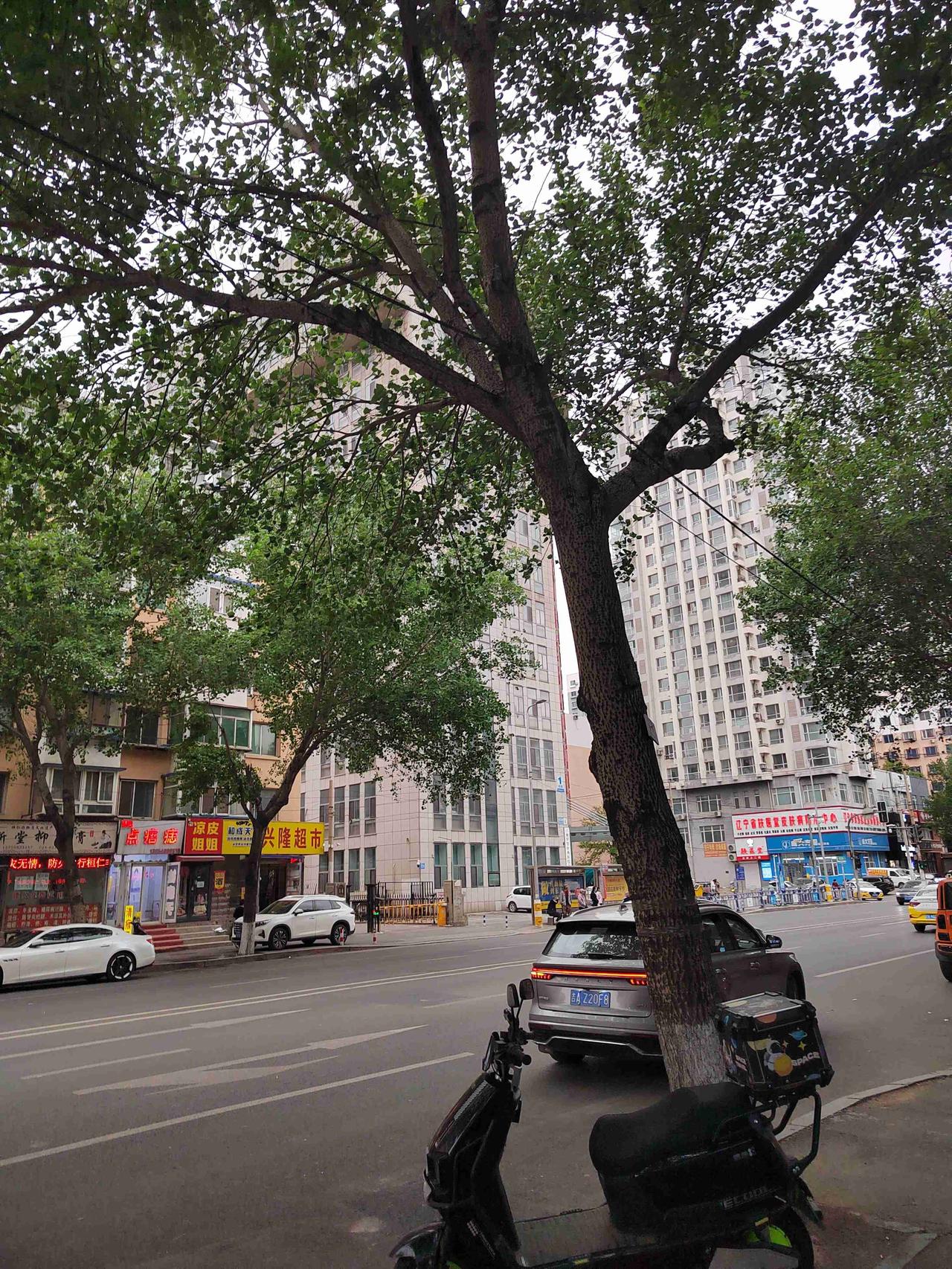 我的今日状态：😁轻松愉快
我这里的天气：☀️晴天