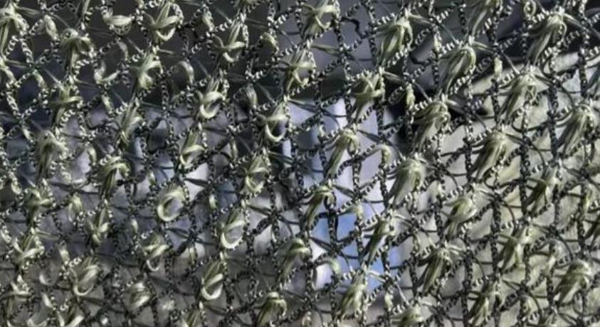 乌克兰无人机在天上横行的日子到头了？谁也没料到，终结它们的不是激光武器，不是电子