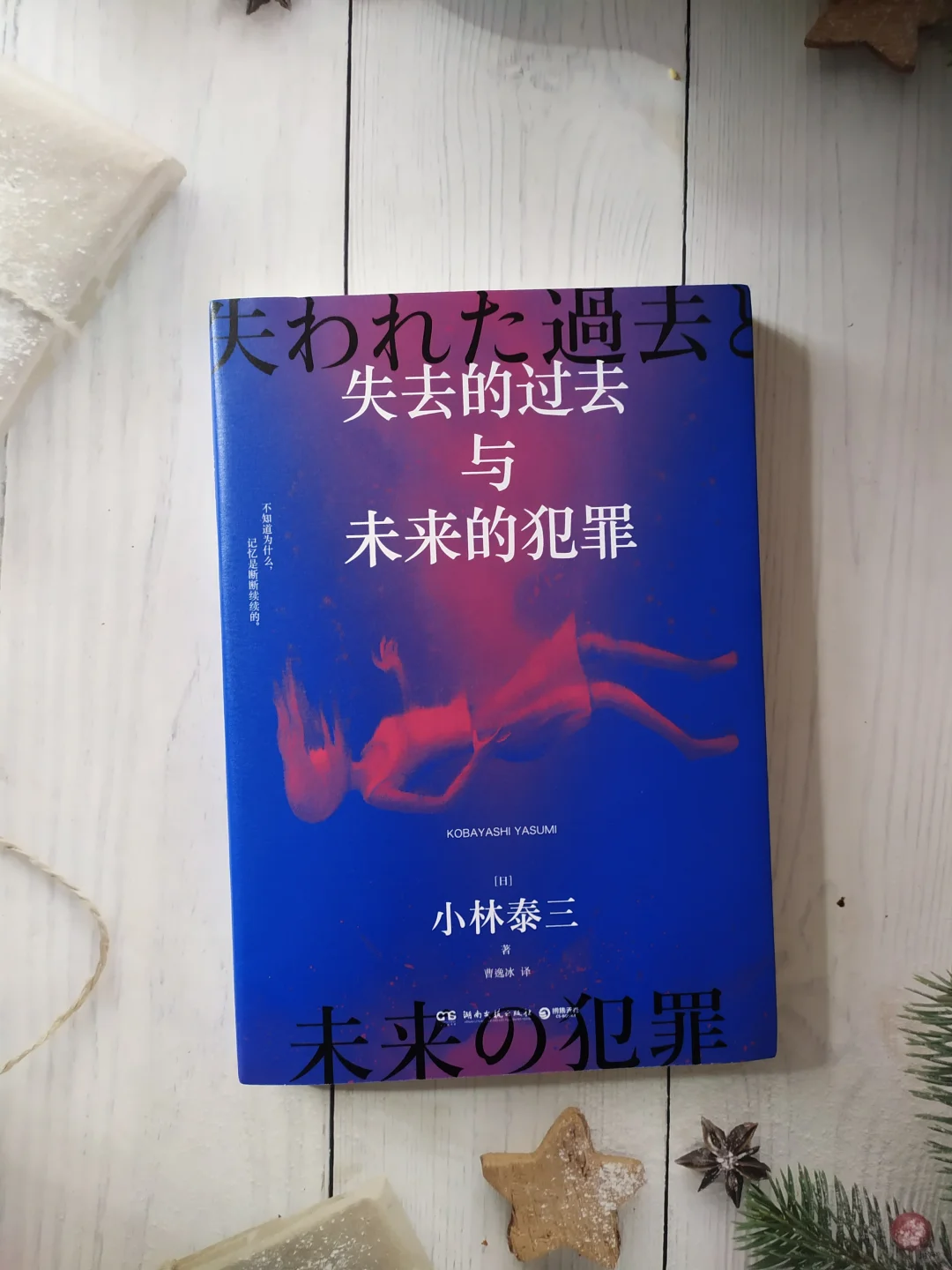 一部深刻的“探赜记忆”之作