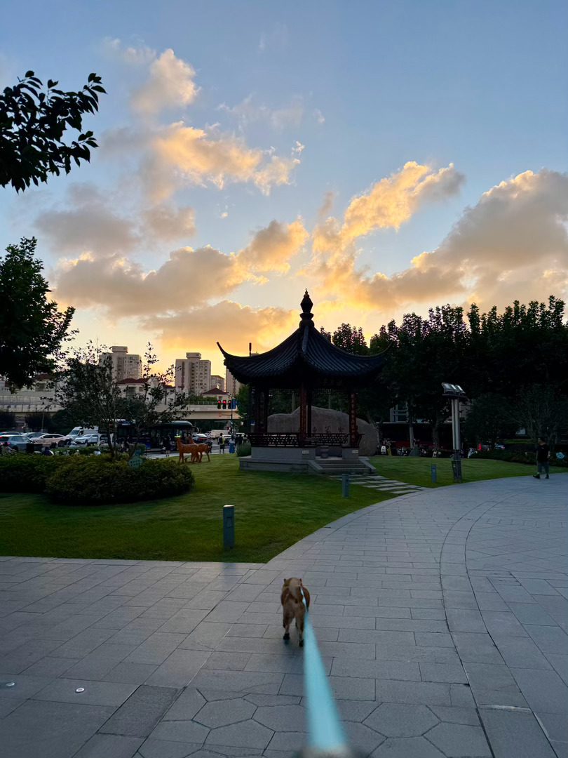 随手拍日常碎片plog萌宠的日常 ​​​