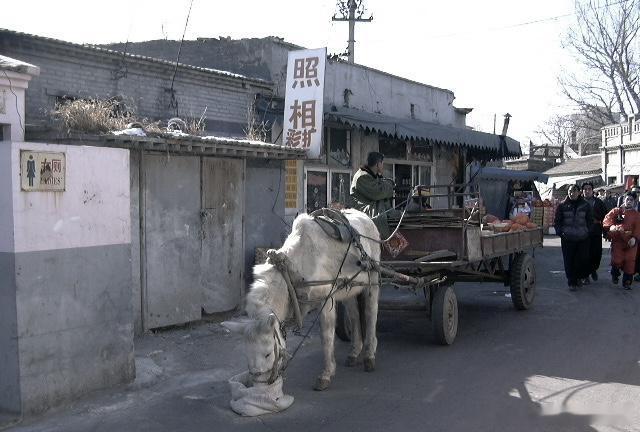2003年北京胡同里的白马车 