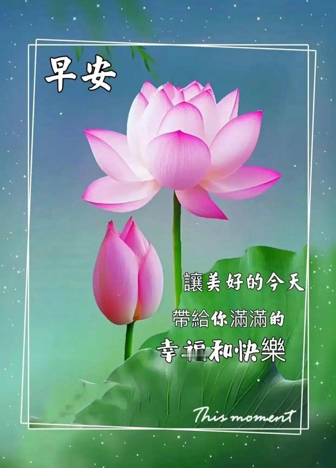 #阳光信用[超话]##阳光信用##每日一善# 对于过去，不要过分追悔，失去的永远
