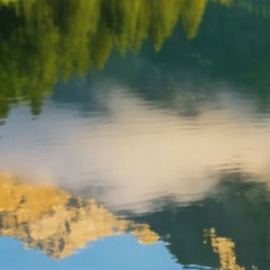 阳光信用 阳光信用 每日一善 善意从不用刻意张扬，藏在细碎日常里。多一份包容，少