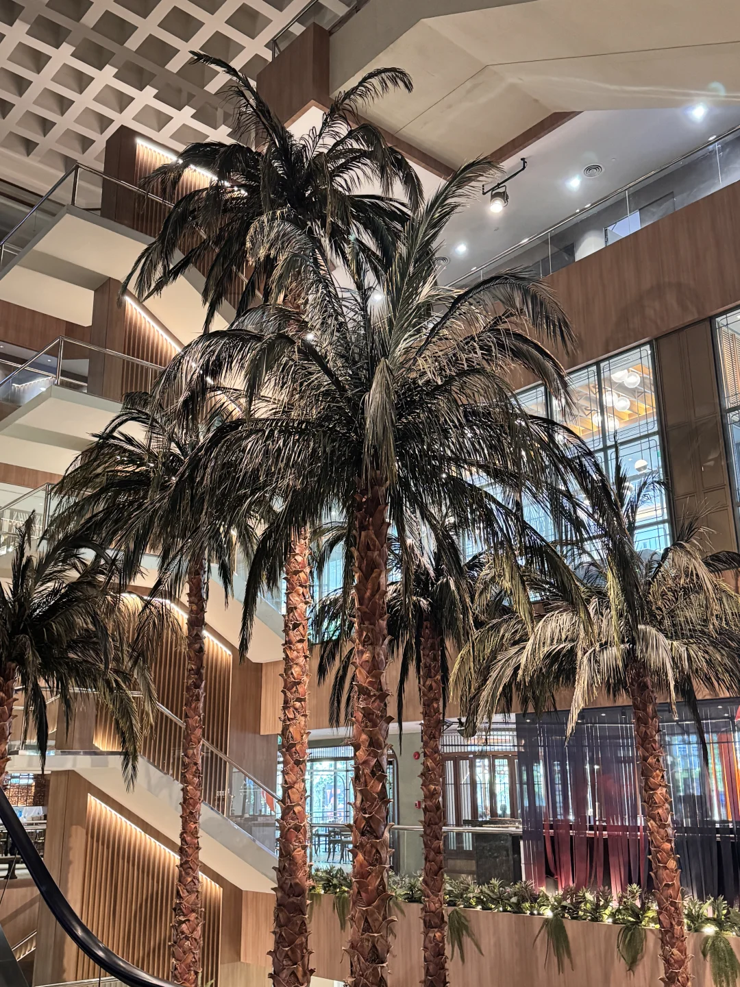 🇹🇭在曼谷住到一家很舒服的老牌酒店🥂