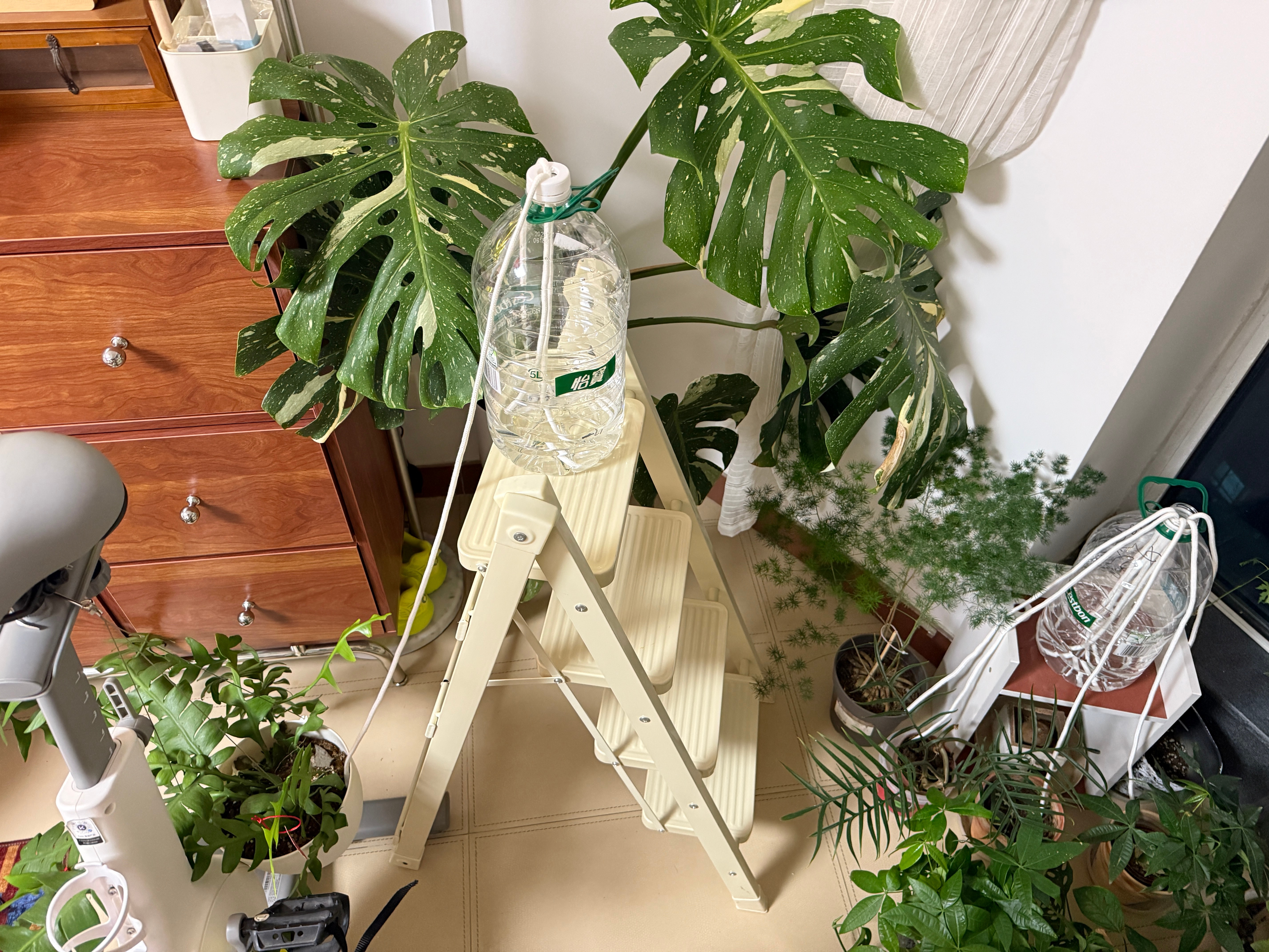 有没有人有收行李困难症呀我咋这么不爱收行李呢卷妹的唠嗑