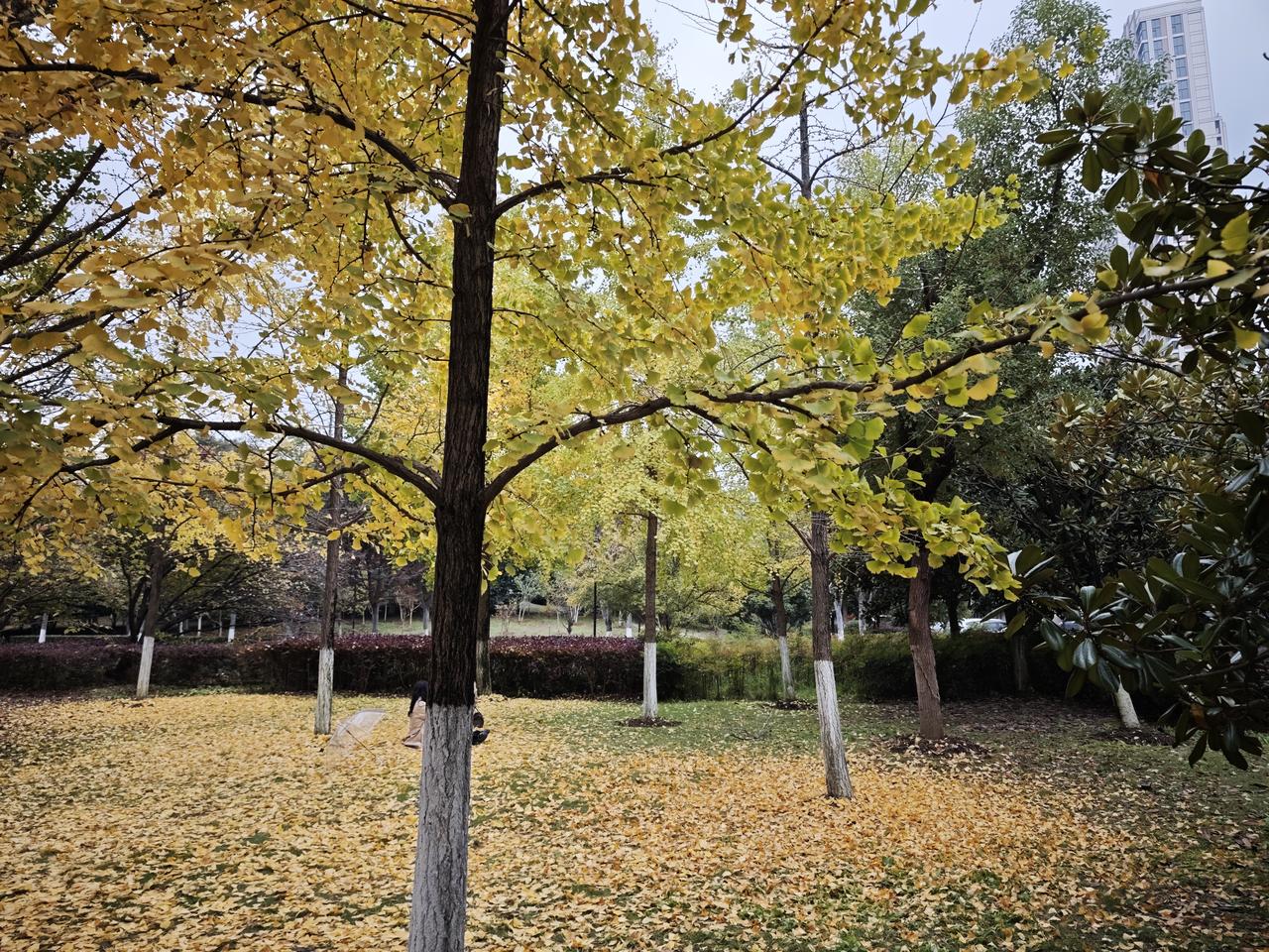 可能是个性使然，从小我就特别独立，深知要为自己的人生负责，从未产生过半点等，靠的