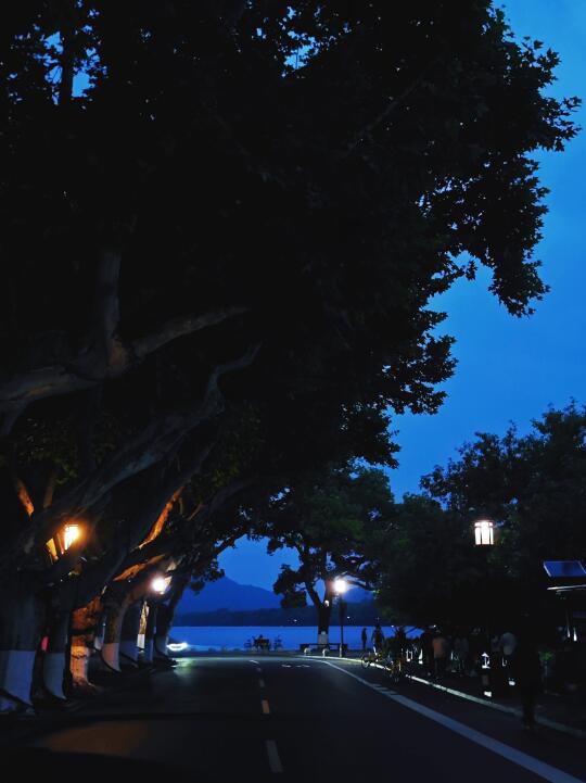 夏天来杭州，我只去一个地方