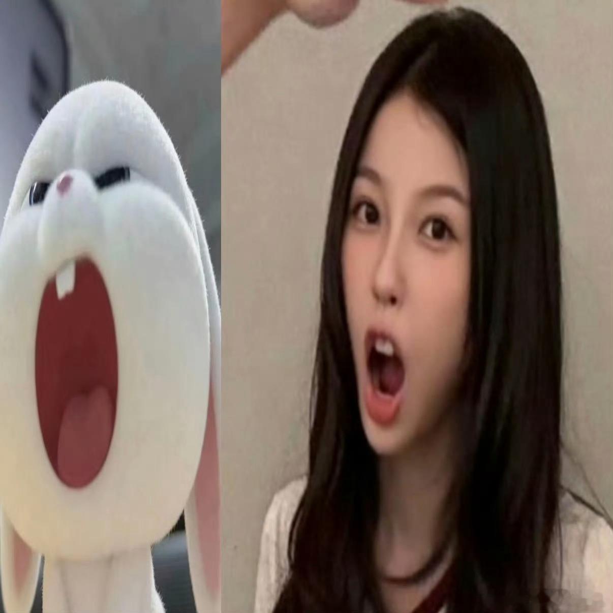 可是我真的觉得很萌啊 ​​​