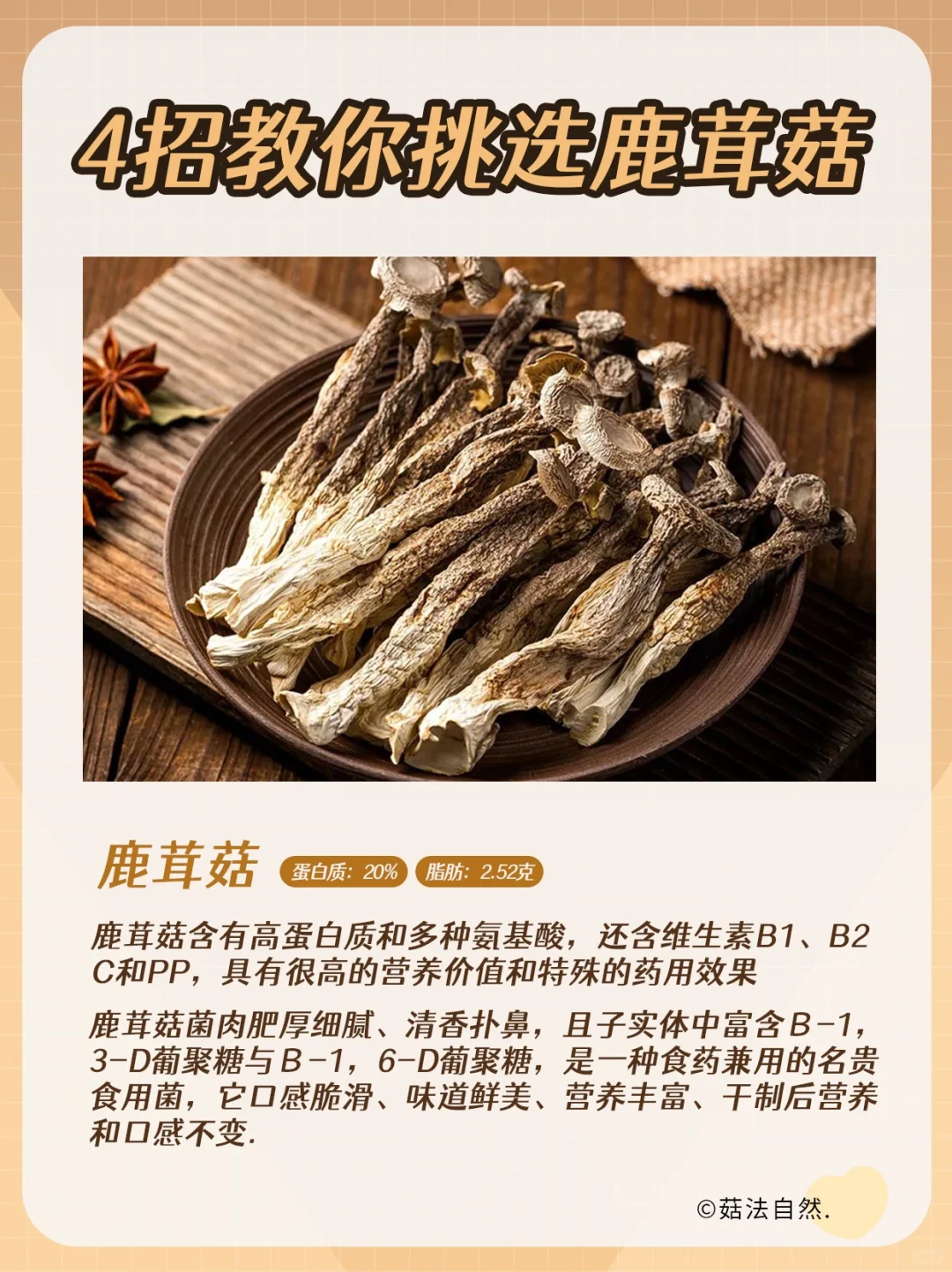 🔥4招教你如何挑鹿茸菇✅