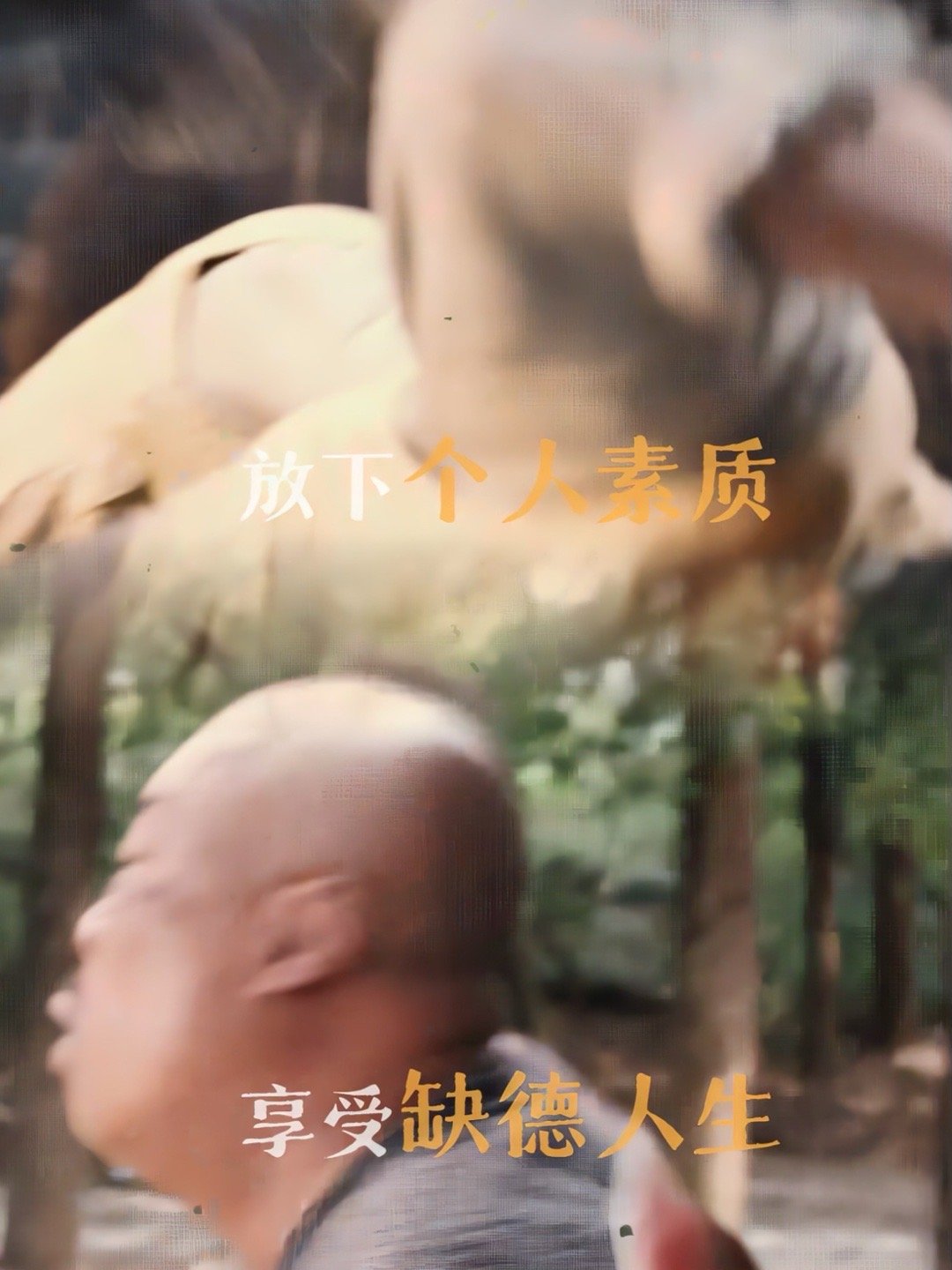 灼灼韶华定档0911爽文女主的大女主剧真的很难让人不爱！9月11日19:30锁定