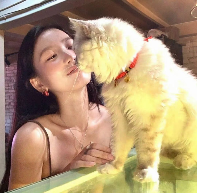 头像换换 快乐加倍 