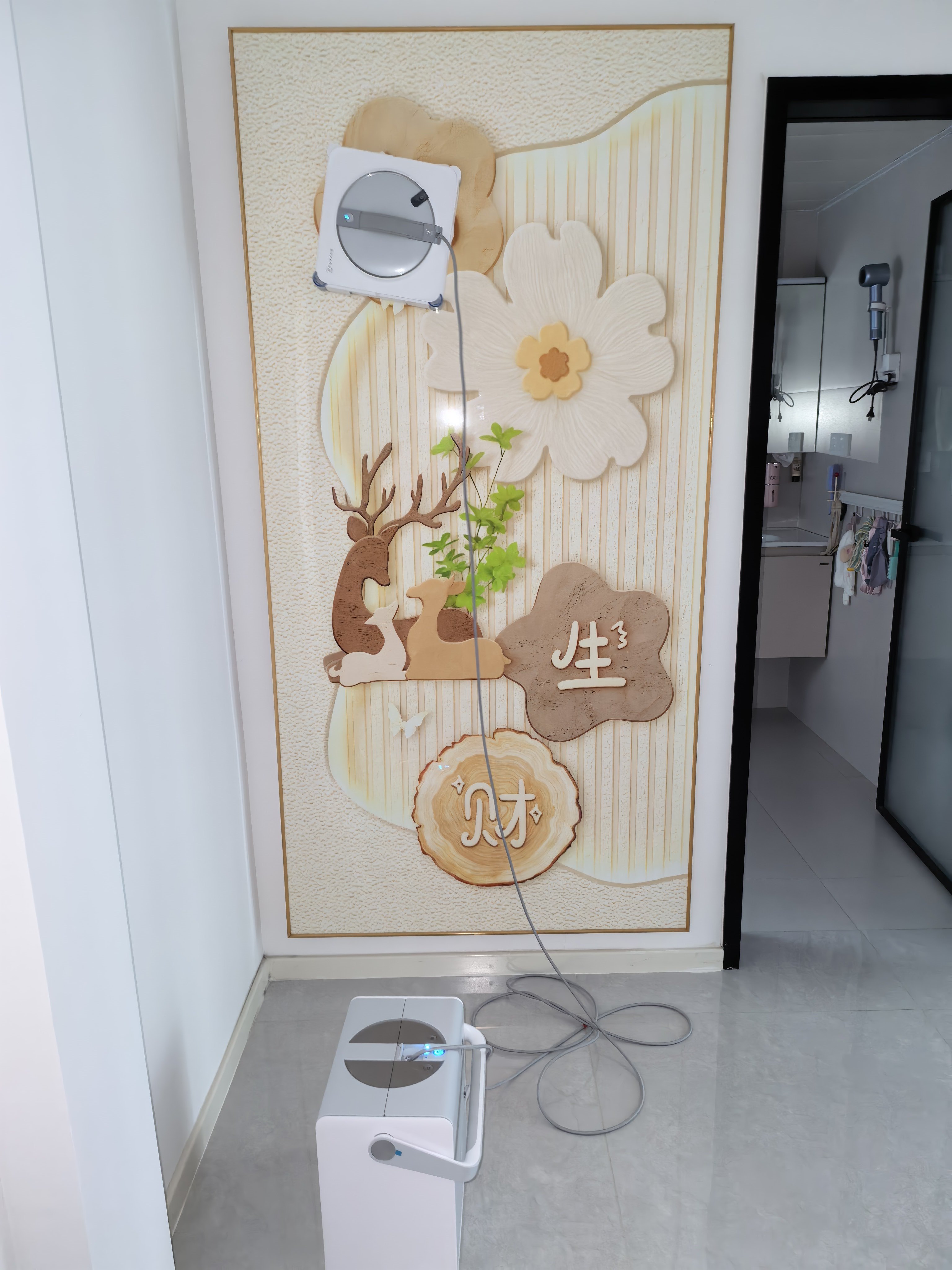 自我感觉有点机智我只是觉得这个挂画这么大，表面也是光滑的，试试呗以后都可以不用再