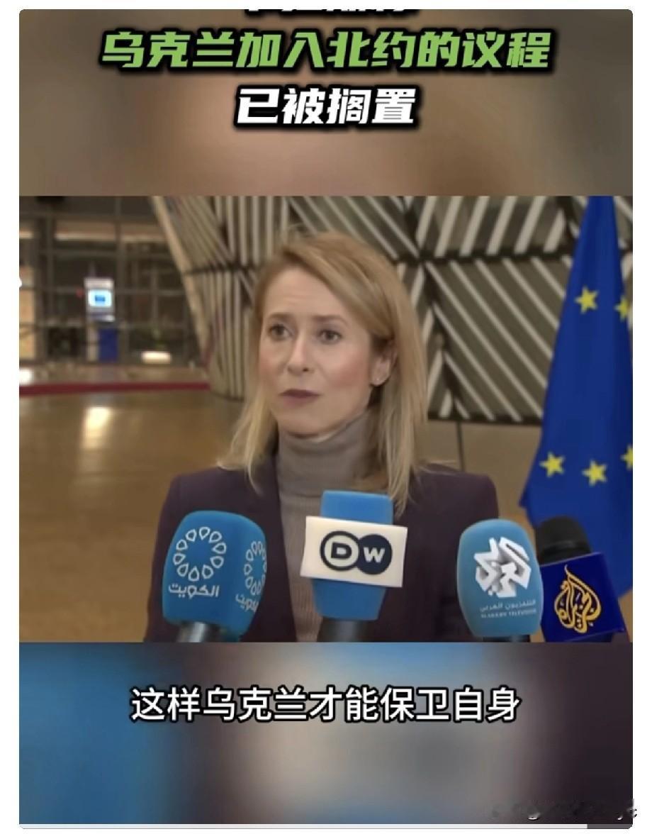 12月15日，欧盟外交与安全政策高级代表卡拉斯表示，“乌克兰加入北约的议题已不再