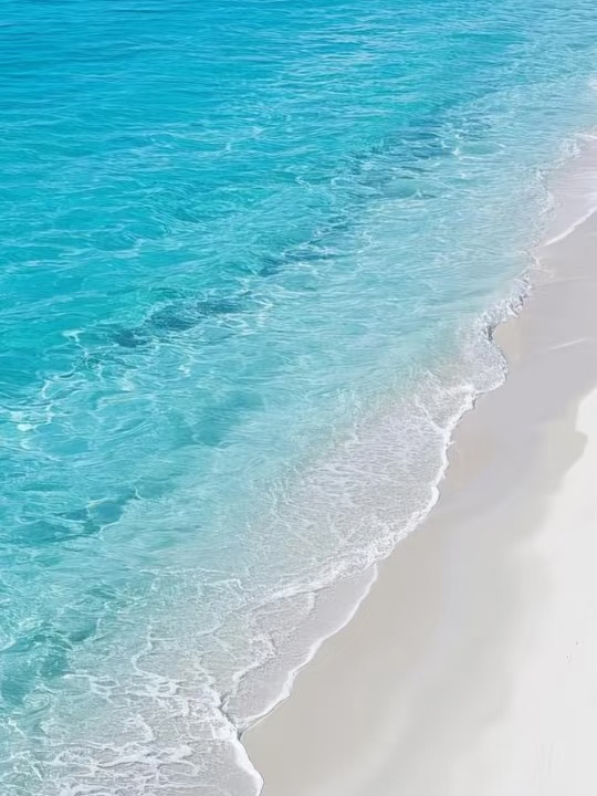 气‮不血‬足主要是 身‮的体‬流通‮降度‬低了 能‮受量‬阻了…… 本...