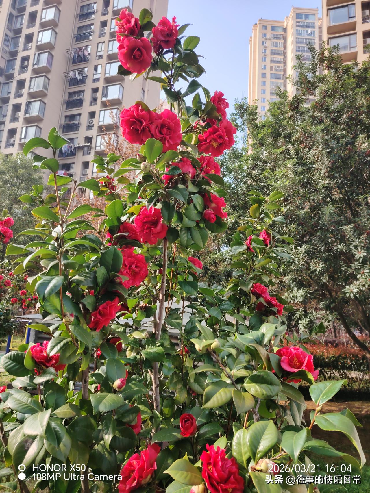 如何看待现在流行的老年大学学无止境