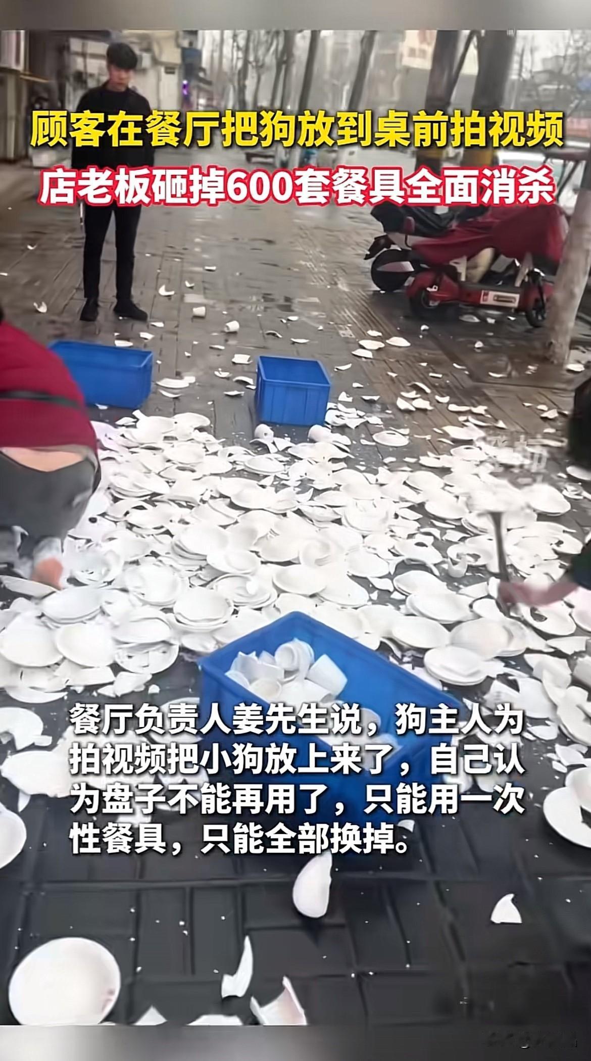 河南商丘，一顾客带狗就餐，把狗放到桌前拍视频，商家将所有餐具砸掉，网友认为商家做