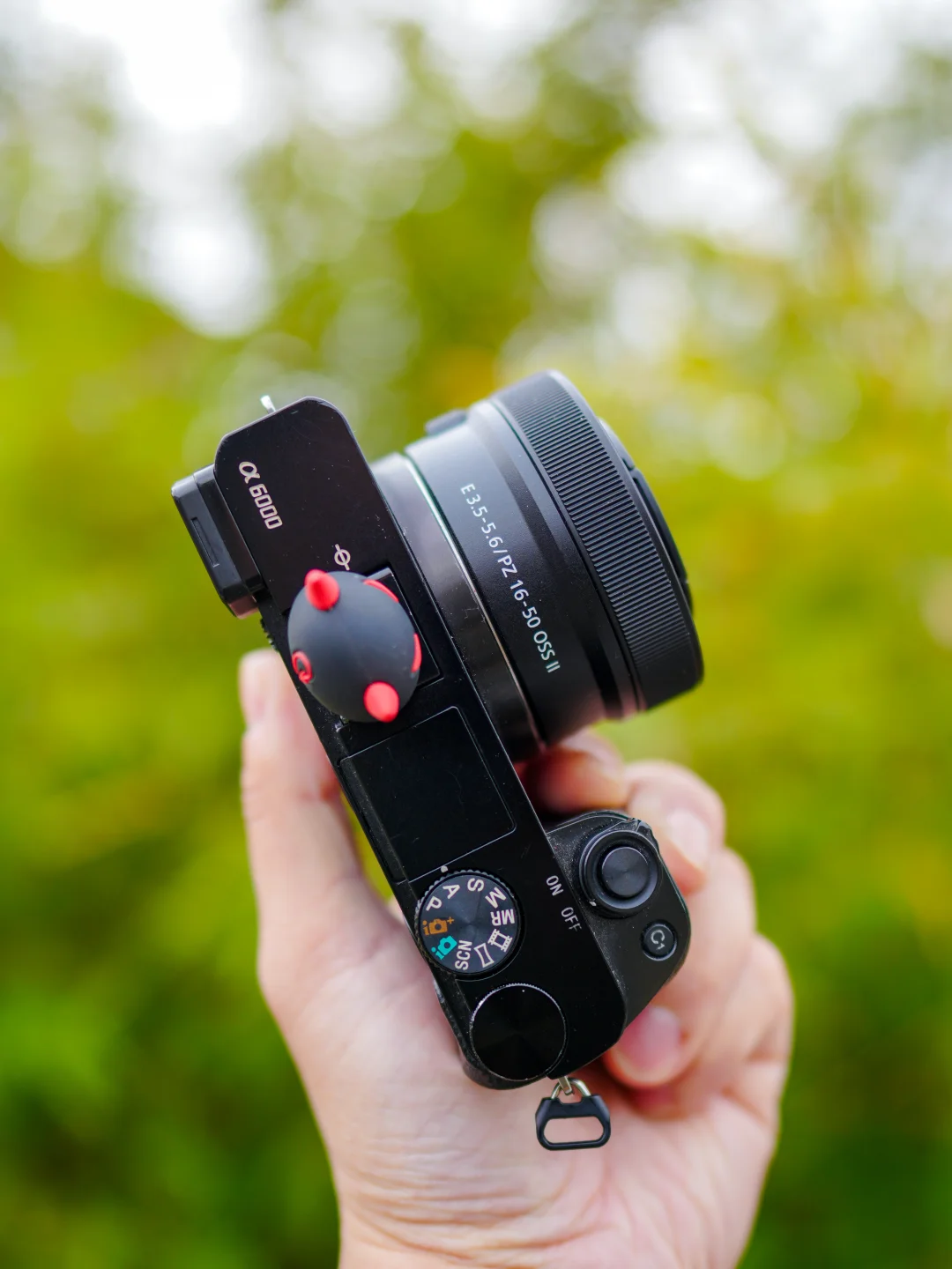 2026年了，为啥还推荐新手购买A6000❓