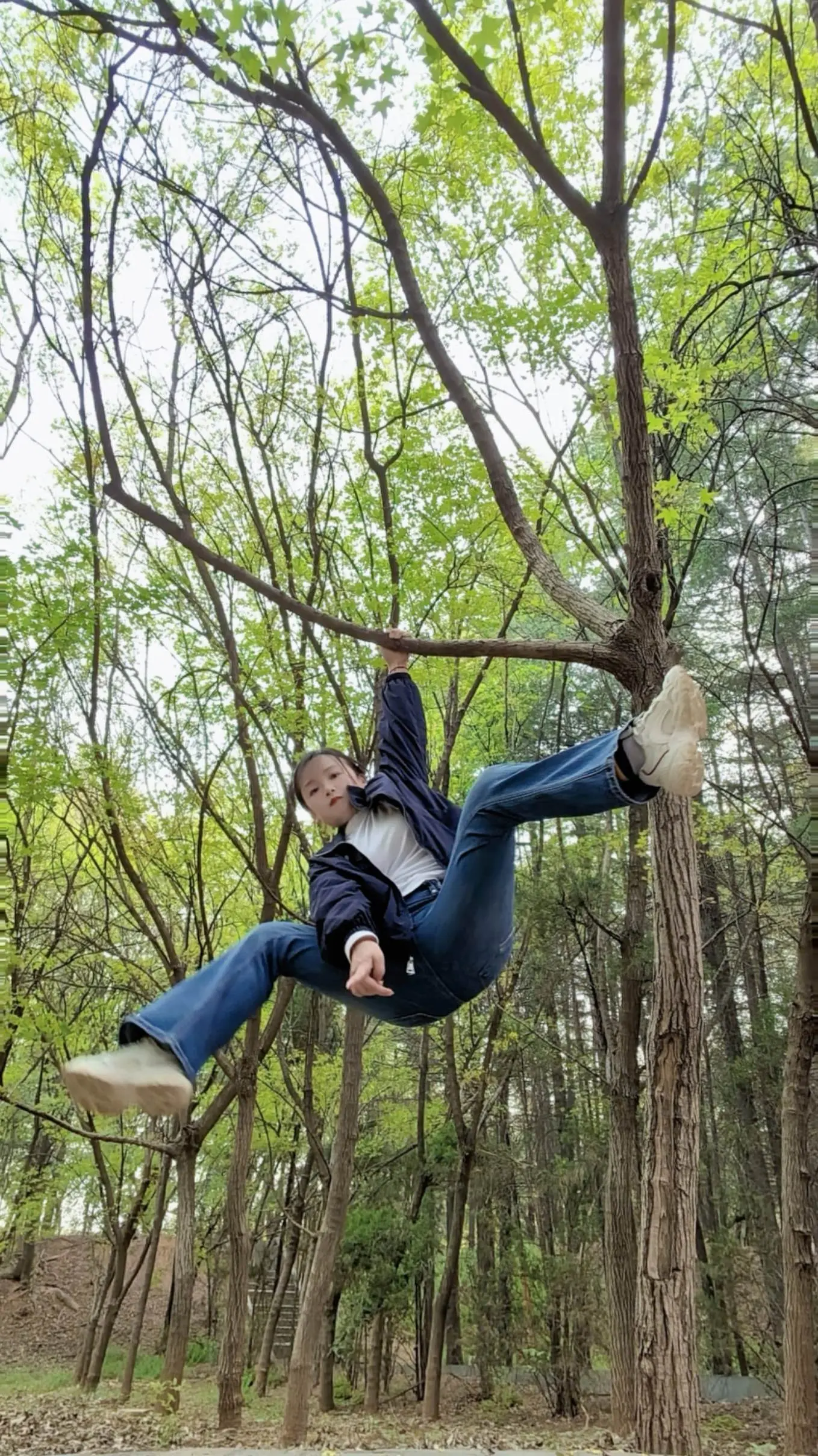 做人不能太攀比 我有挂树上的照片 你有吗😄