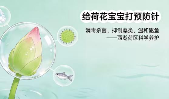 西湖连夜撒下7吨漂白粉！网友炸锅：“这是要煮鱼汤吗？”
**“大晚上往西湖里撒漂