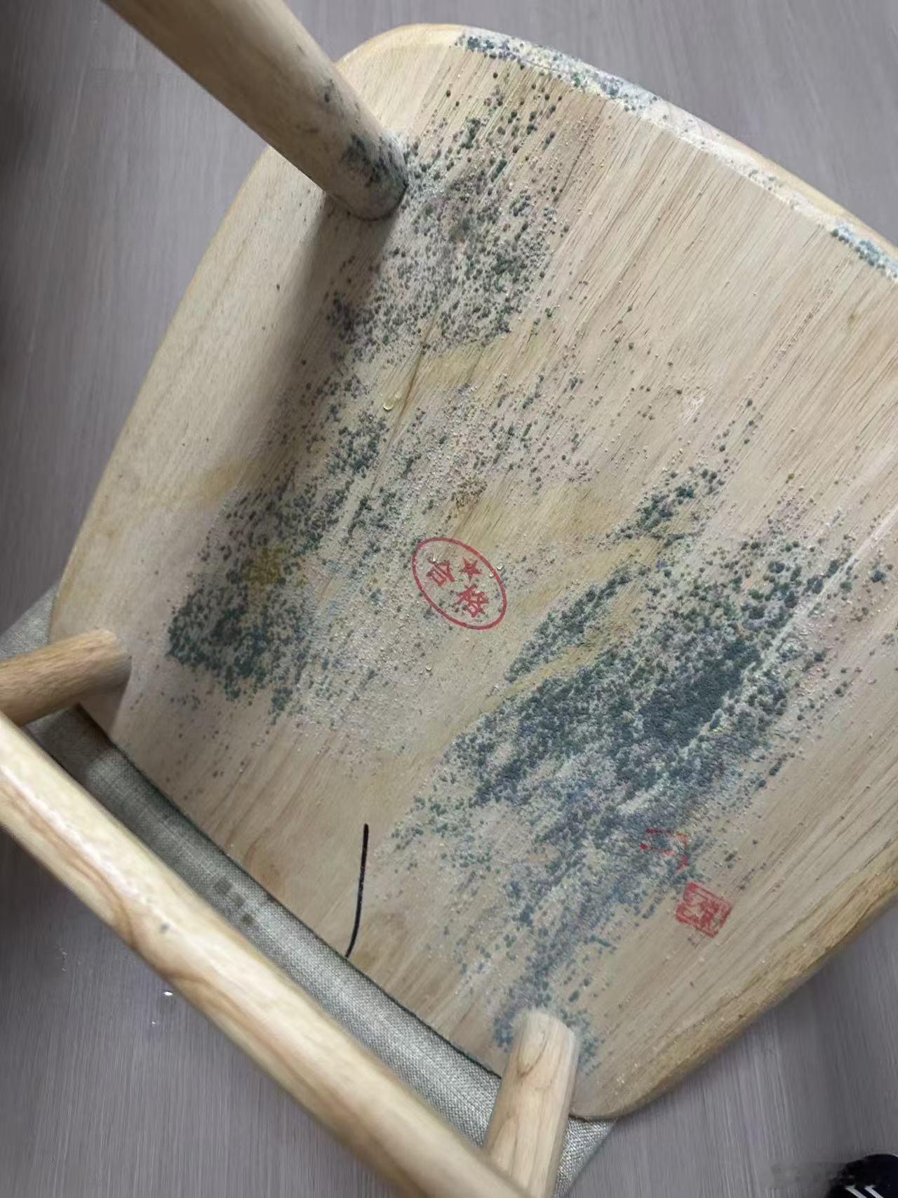 翻相册翻出去年出租房的回南天照片，差点忘了自己也是个“有故事”的房东。突然能接受