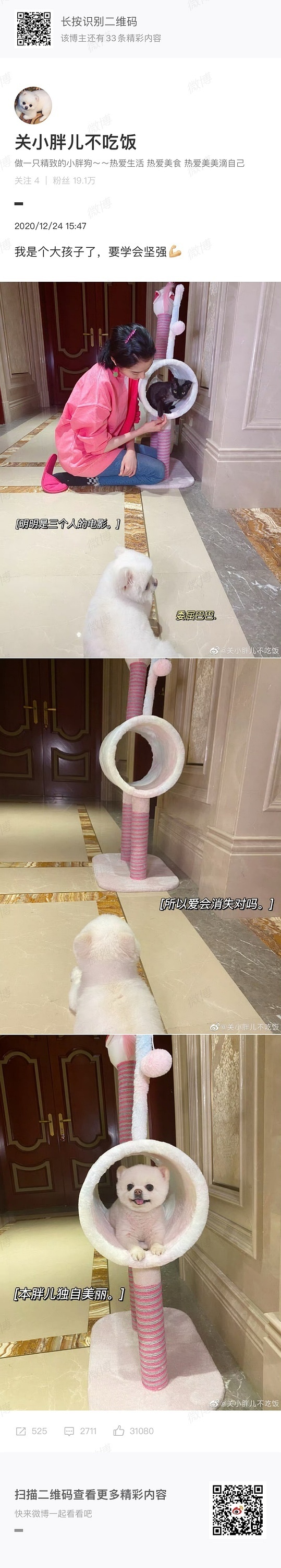 不会2020年年底就出轨了吧