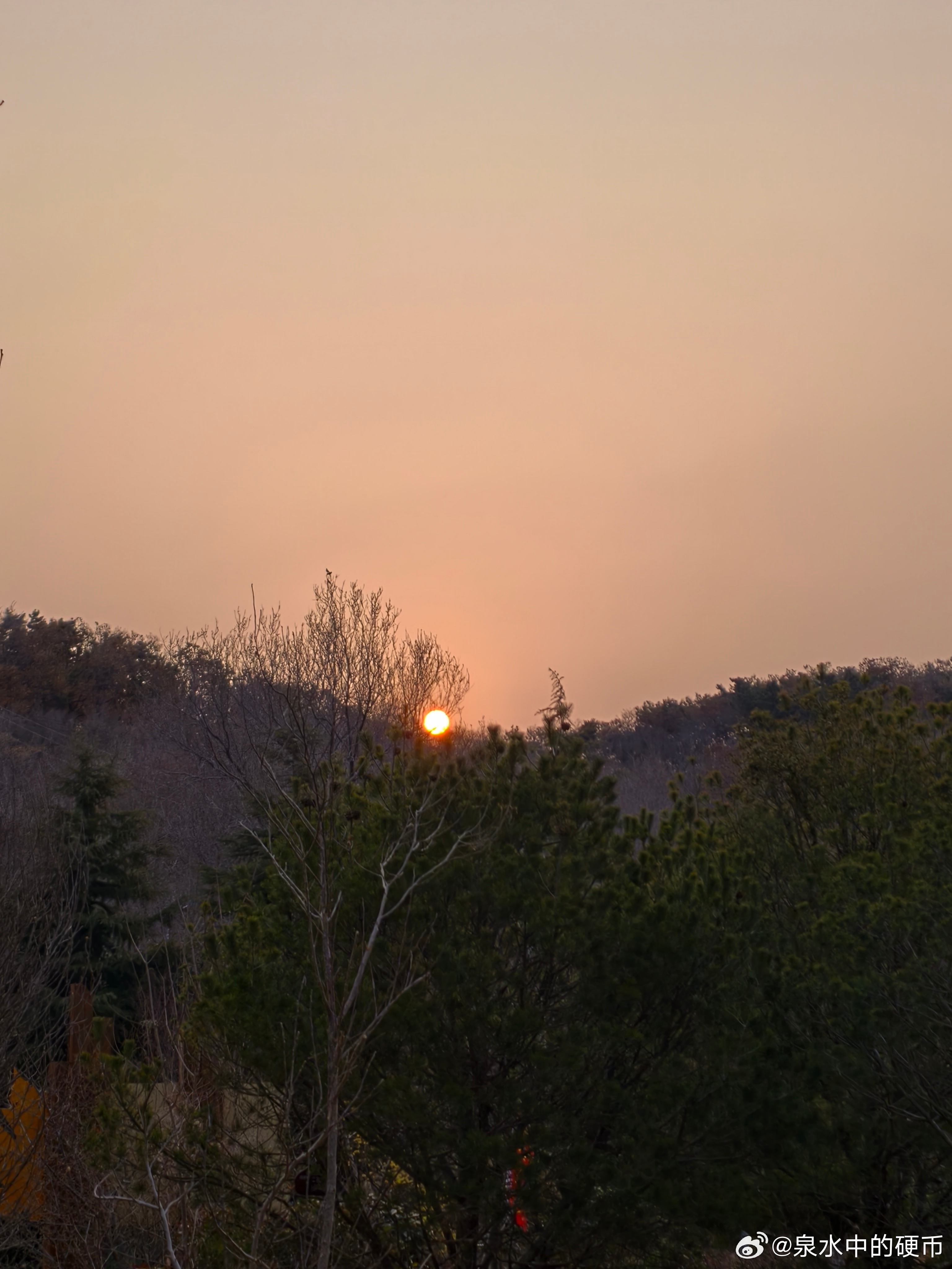 早起才能看到初升的太阳，也是唯一能正视太阳的机会。 