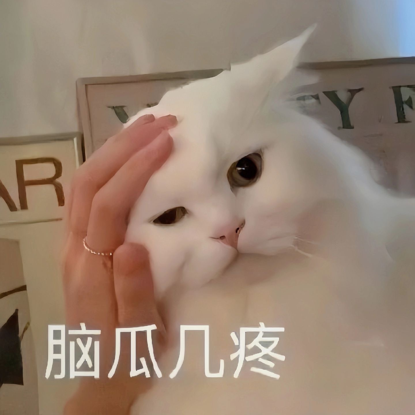 一些实用的表情包 ​​​