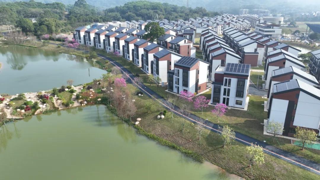 大家看看今天的社会主义新农村，农民住上连排或独栋别墅，老人孩子生活多幸福，现在却
