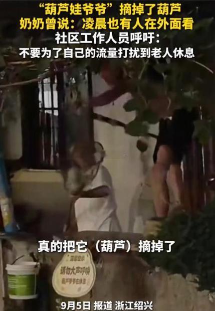 葫芦娃爷爷 流量暴力 陈金敖爷爷剪断藤蔓的那一刻，断送的不只是六个葫芦，更是一场
